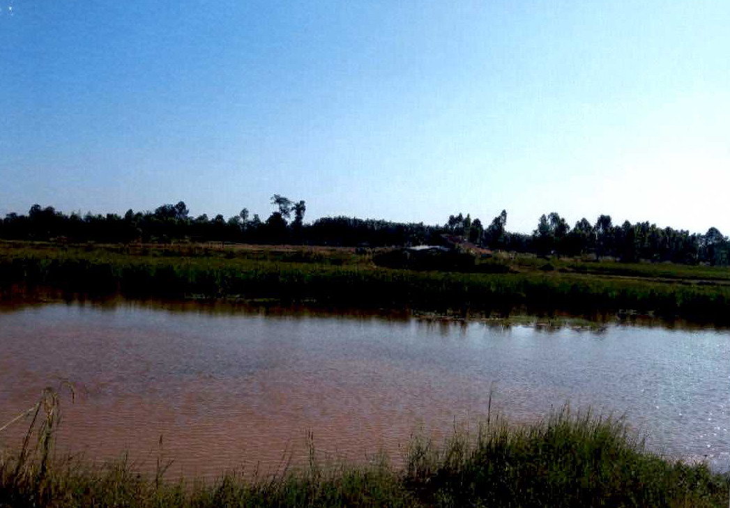 ขายทอดตลาด ที่ดินว่างเปล่า ต.เหล่าใหญ่ อ.กุฉินารายณ์ จ.กาฬสินธุ์