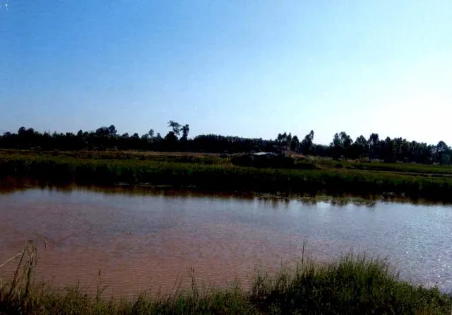 ขายทอดตลาด ที่ดินว่างเปล่า ต.เหล่าใหญ่ อ.กุฉินารายณ์ จ.กาฬสินธุ์