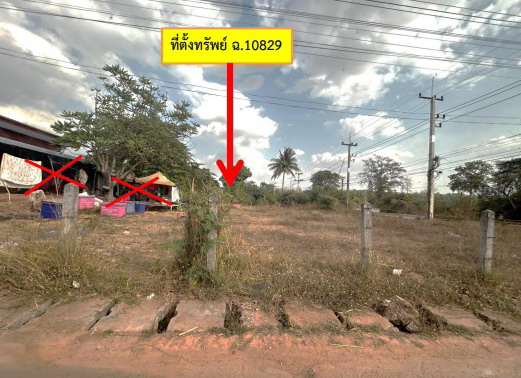 ขายทอดตลาด ที่ดินว่างเปล่า ต.คำบง อ.ห้วยผึ้ง จ.กาฬสินธุ์
