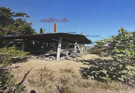 ขายทอดตลาด ที่ดินพร้อมสิ่งปลูกสร้าง ต.หนองช้าง อ.สามชัย จ.กาฬสินธุ์