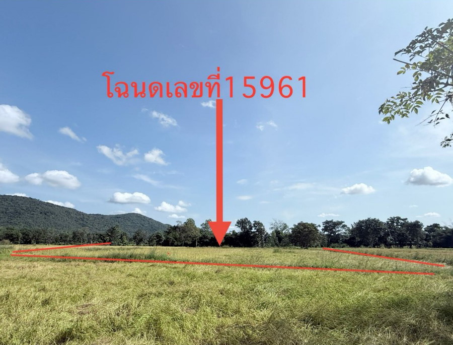 ขายทอดตลาด ที่ดินว่างเปล่า ต.สายนาวัง อ.นาคู จ.กาฬสินธุ์