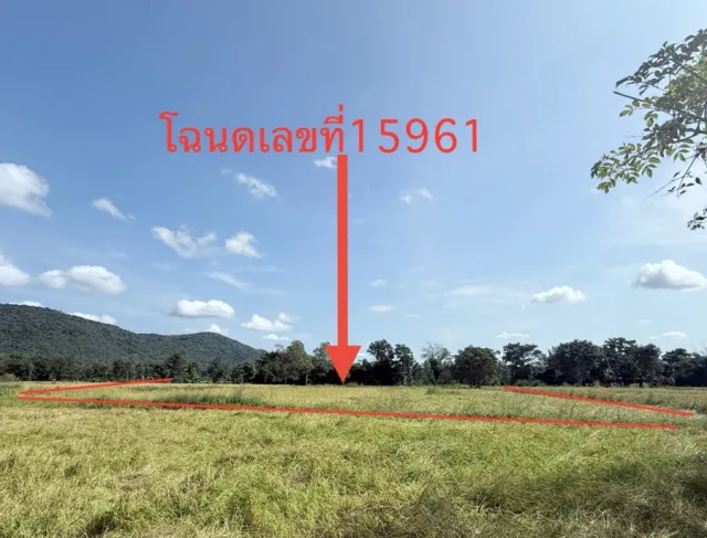 ขายทอดตลาด ที่ดินว่างเปล่า ต.สายนาวัง อ.นาคู จ.กาฬสินธุ์