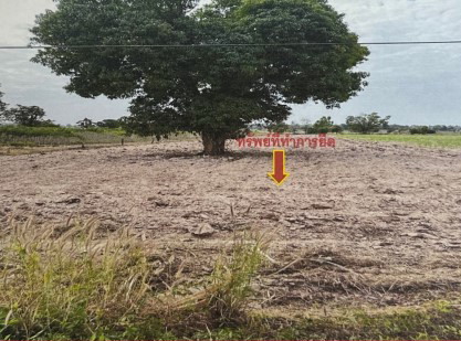 ขายทอดตลาด ที่ดินว่างเปล่า ต.หนองกุงศรี อ.หนองกุงศรี จ.กาฬสินธุ์
