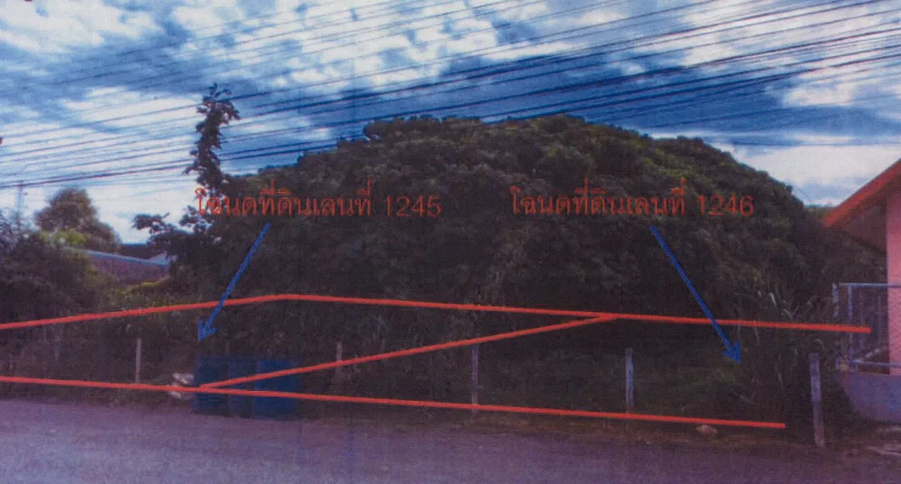 ขายทอดตลาด ที่ดินว่างเปล่า ต.ปากน้ำ อ.เมืองกระบี่ จ.กระบี่