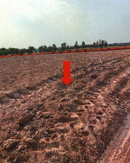 ขายทอดตลาด ที่ดินว่างเปล่า ต.หนองบัว อ.หนองกุงศรี จ.กาฬสินธุ์