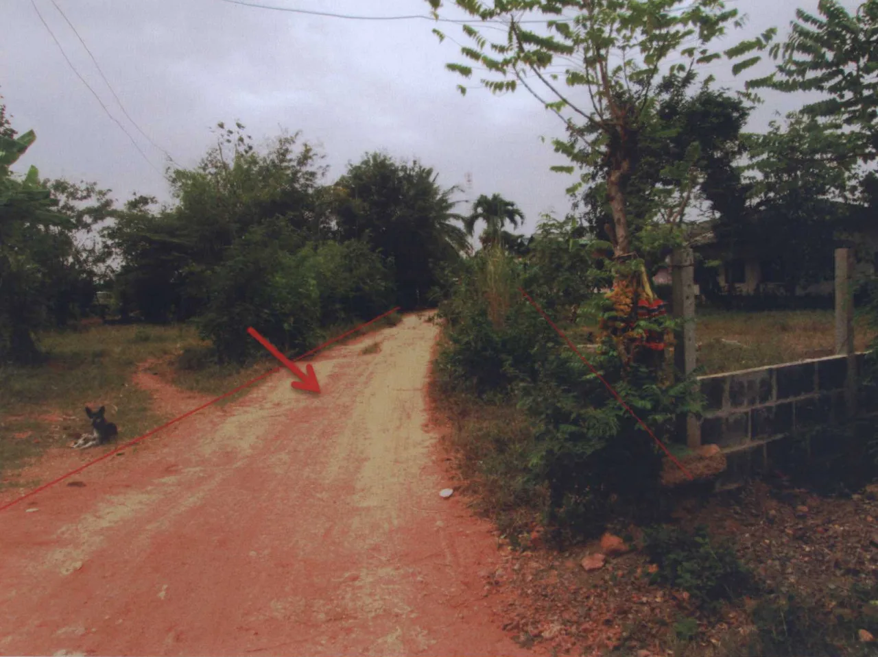 ขายทอดตลาด ที่ดินว่างเปล่า ต.วังโรงใหญ่ อ.สีคิ้ว จ.นครราชสีมา