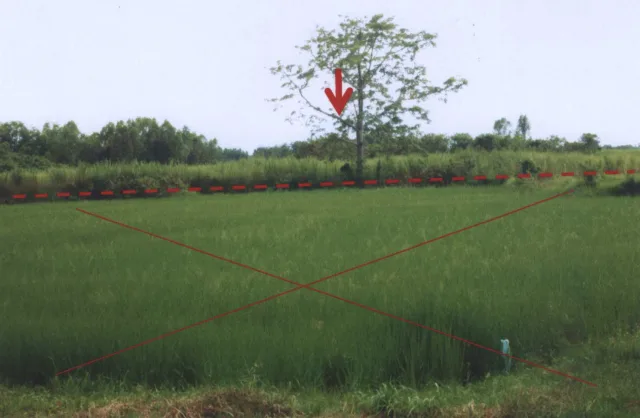 ขายทอดตลาด ที่ดินว่างเปล่า ต.หินดาด อ.ด่านขุนทด จ.นครราชสีมา