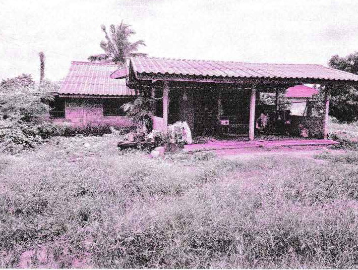 ขายทอดตลาด ที่ดินพร้อมสิ่งปลูกสร้าง ต.กฤษณา อ.สีคิ้ว จ.นครราชสีมา