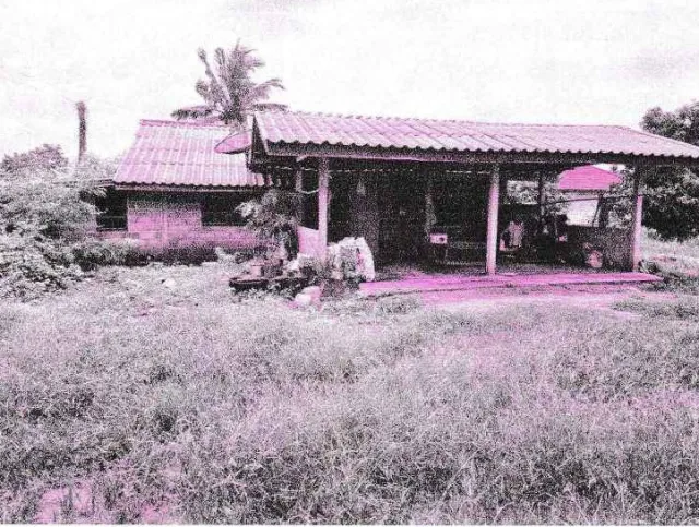 ขายทอดตลาด ที่ดินพร้อมสิ่งปลูกสร้าง ต.กฤษณา อ.สีคิ้ว จ.นครราชสีมา