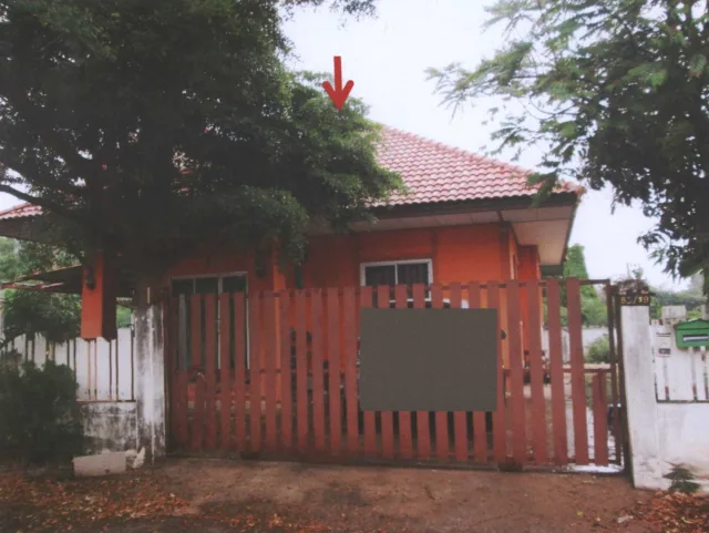 ขายทอดตลาด ที่ดินพร้อมสิ่งปลูกสร้าง ต.สูงเนิน อ.สูงเนิน จ.นครราชสีมา
