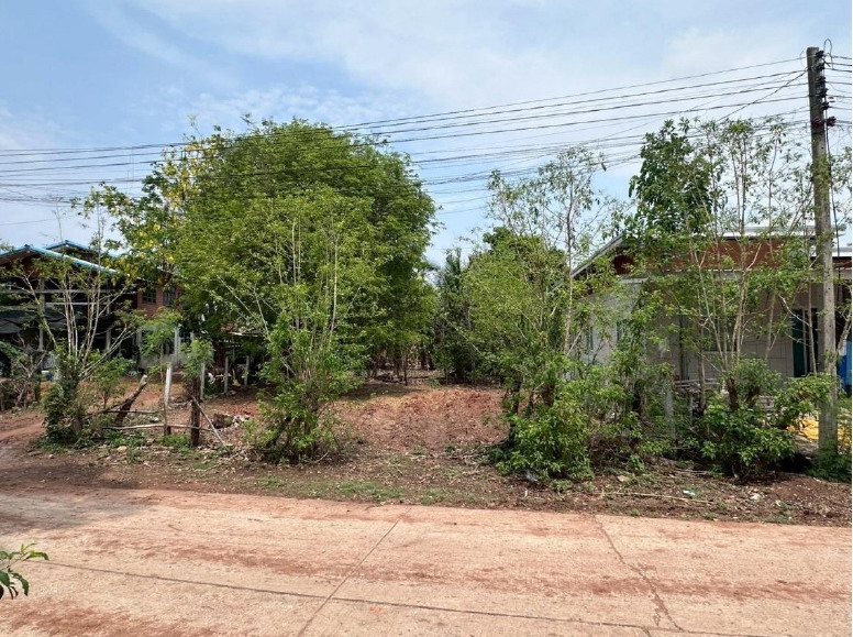 ขายทอดตลาด ที่ดินว่างเปล่า ต.ด่านขุนทด อ.ด่านขุนทด จ.นครราชสีมา