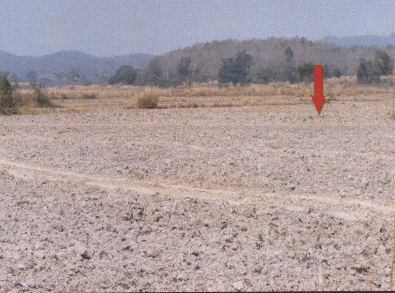 ขายทอดตลาด ที่ดินว่างเปล่า ต.ดอยลาน อ.เมืองเชียงราย จ.เชียงราย
