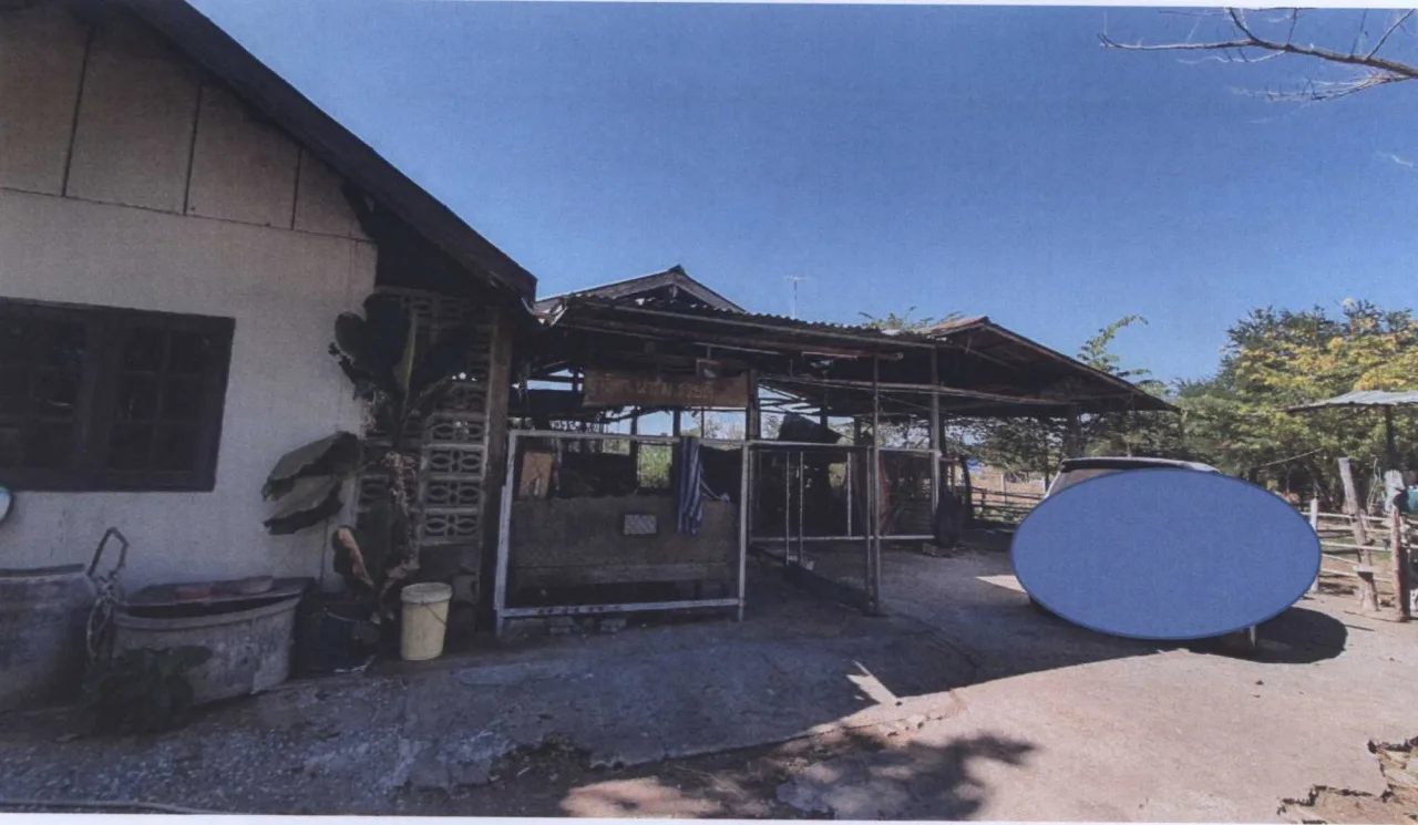 ขายทอดตลาด ที่ดินพร้อมสิ่งปลูกสร้าง ต.หนองบัวน้อย(บ้านหัน) อ.สีคิ้ว จ.นครราชสีมา