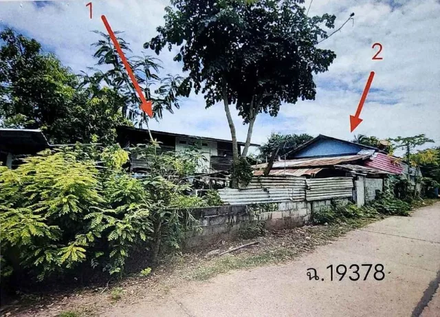 ขายทอดตลาด ที่ดินพร้อมสิ่งปลูกสร้าง ต.เสมา อ.สูงเนิน จ.นครราชสีมา