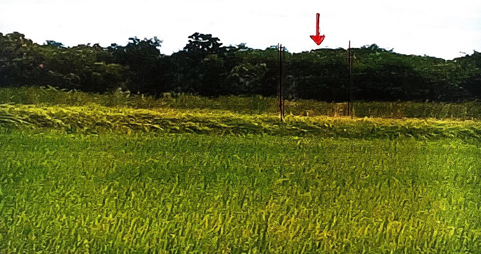ขายทอดตลาด ที่ดินว่างเปล่า แขวงหนองจอก เขตหนองจอก จ.กรุงเทพมหานคร