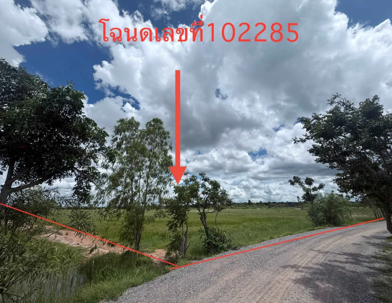ขายทอดตลาด ที่ดินว่างเปล่า จ.บึงกาฬ