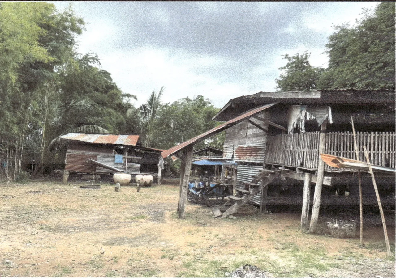 ขายทอดตลาด ที่ดินพร้อมสิ่งปลูกสร้าง ต.สูงเนิน อ.สูงเนิน จ.นครราชสีมา