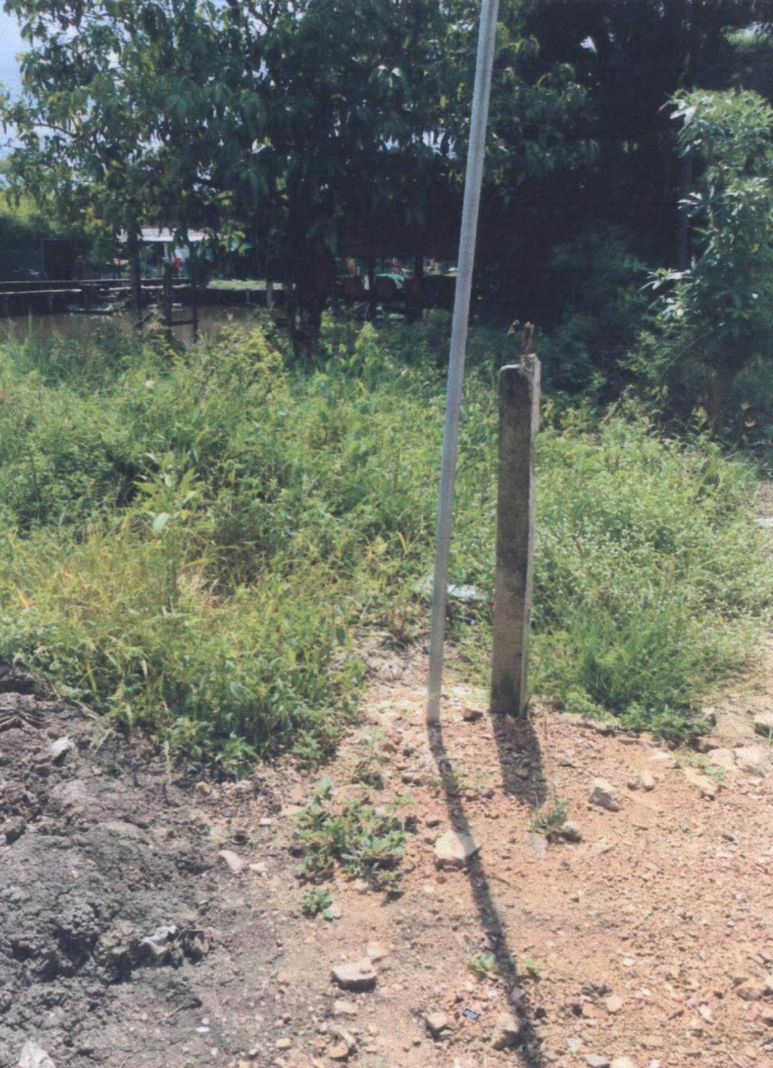 ขายทอดตลาด ที่ดินว่างเปล่า แขวงคลองสิบ เขตหนองจอก จ.กรุงเทพมหานคร