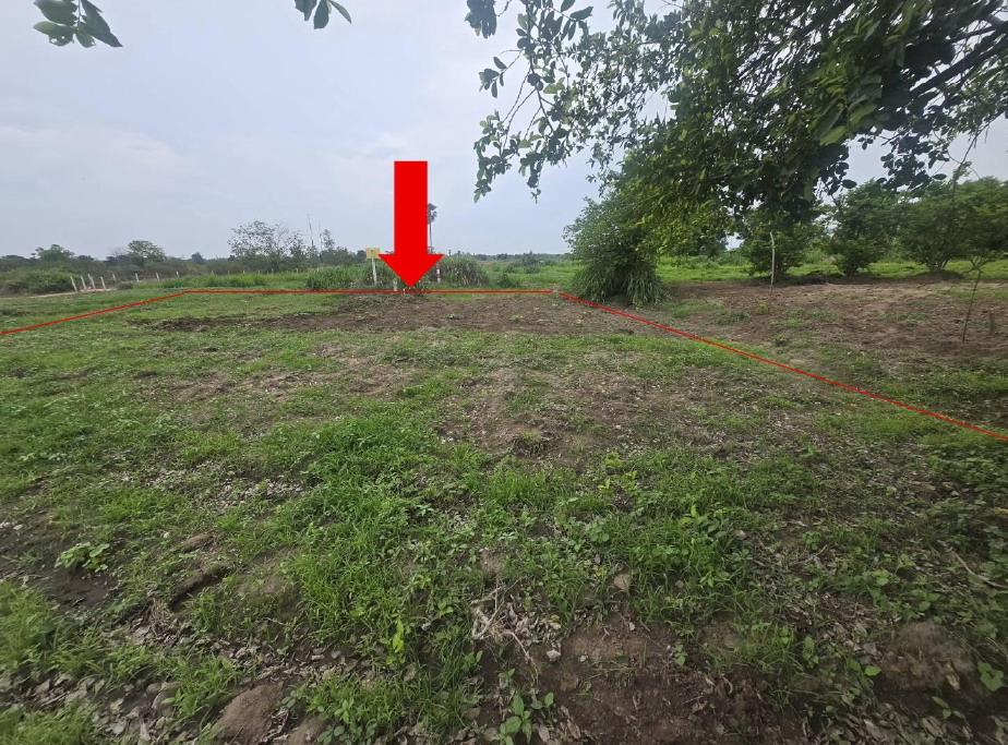 ขายทอดตลาด ที่ดินว่างเปล่า จ.นครราชสีมา