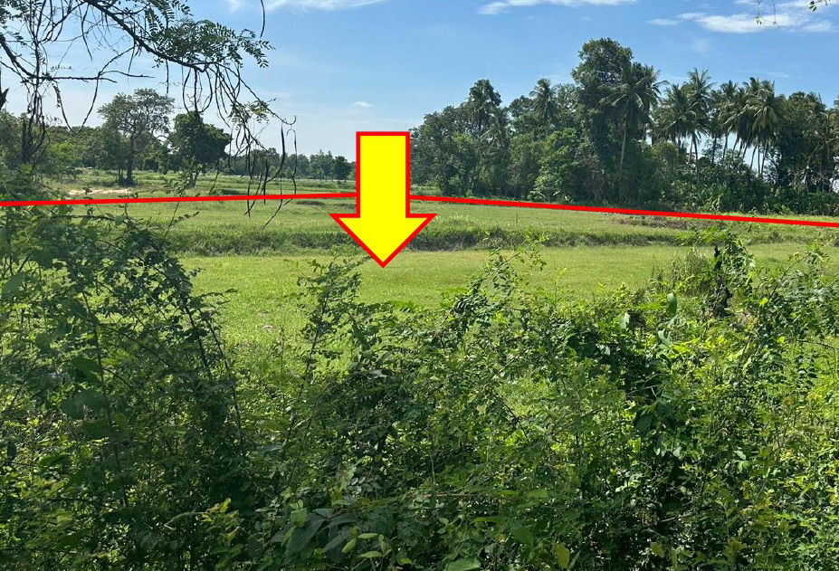 ขายทอดตลาด ที่ดินว่างเปล่า ต.หนองแวง อ.เทพารักษ์ จ.นครราชสีมา