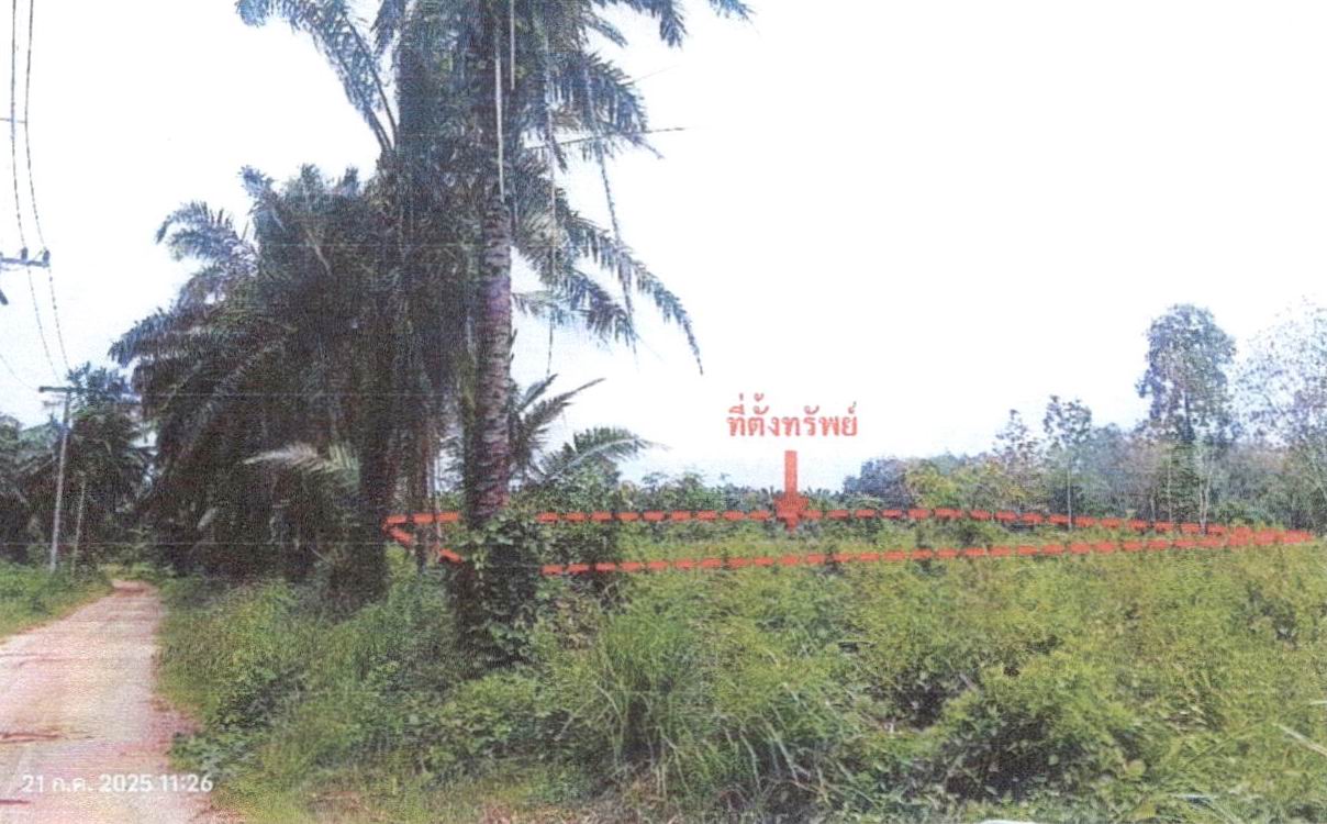 ขายทอดตลาด ที่ดินว่างเปล่า ต.เหนือคลอง อ.เหนือคลอง จ.กระบี่