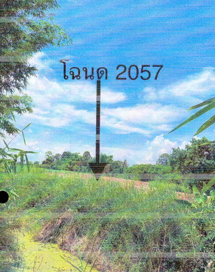 ขายทอดตลาด ที่ดินว่างเปล่า ต.บ้านชวน อ.บำเหน็จณรงค์ จ.ชัยภูมิ