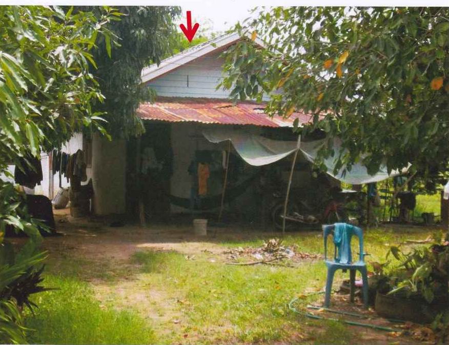 ขายทอดตลาด ที่ดินพร้อมสิ่งปลูกสร้าง ต.หนองบัวน้อย อ.สีคิ้ว จ.นครราชสีมา