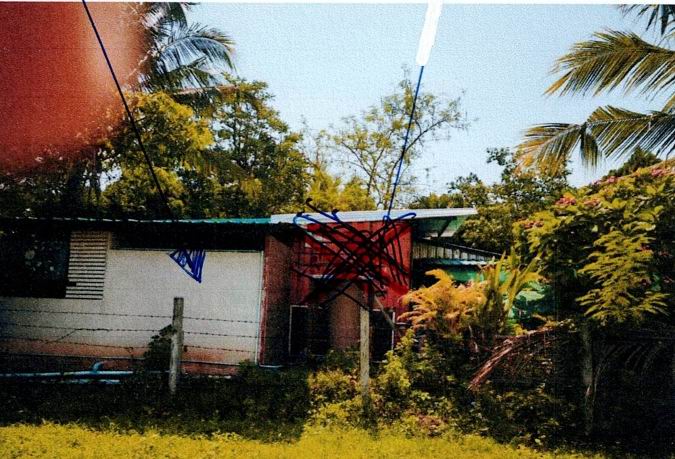 ขายทอดตลาด ที่ดินพร้อมสิ่งปลูกสร้าง ต.มิตรภาพ อ.สีคิ้ว จ.นครราชสีมา