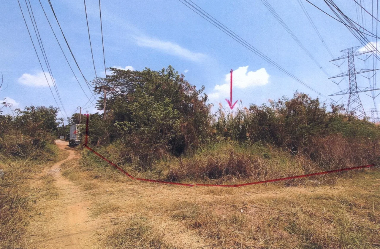 ขายทอดตลาด ที่ดินว่างเปล่า แขวงทรายกองดินใต้ เขตคลองสามวา จ.กรุงเทพมหานคร