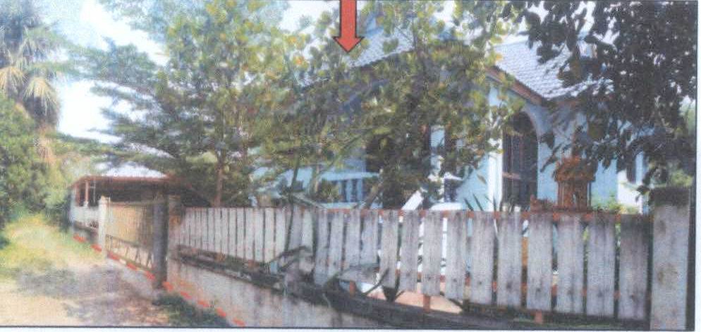 ขายทอดตลาด ที่ดินพร้อมสิ่งปลูกสร้าง ต.โค้งยาง อ.สูงเนิน จ.นครราชสีมา