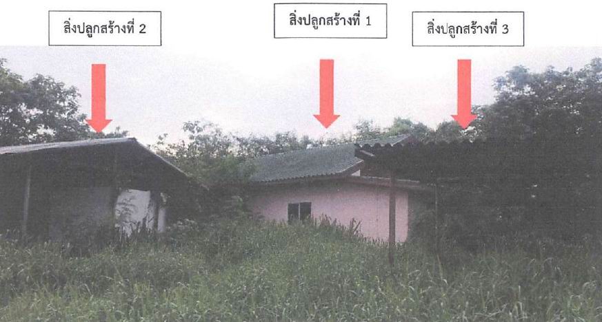 ขายทอดตลาด ที่ดินพร้อมสิ่งปลูกสร้าง ต.ขนงพระ อ.ปากช่อง จ.นครราชสีมา