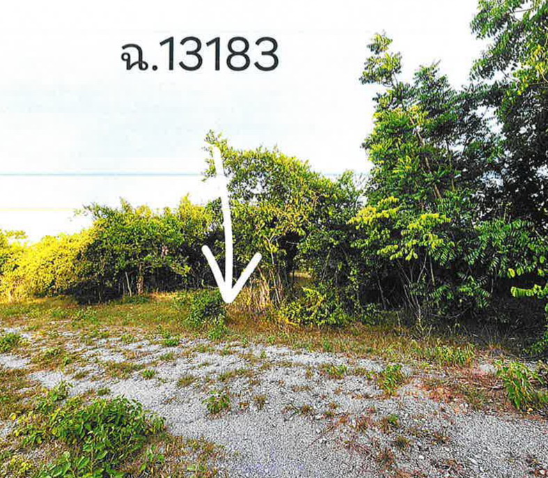 ขายทอดตลาด ที่ดินว่างเปล่า ต.สูงเนิน อ.สูงเนิน จ.นครราชสีมา
