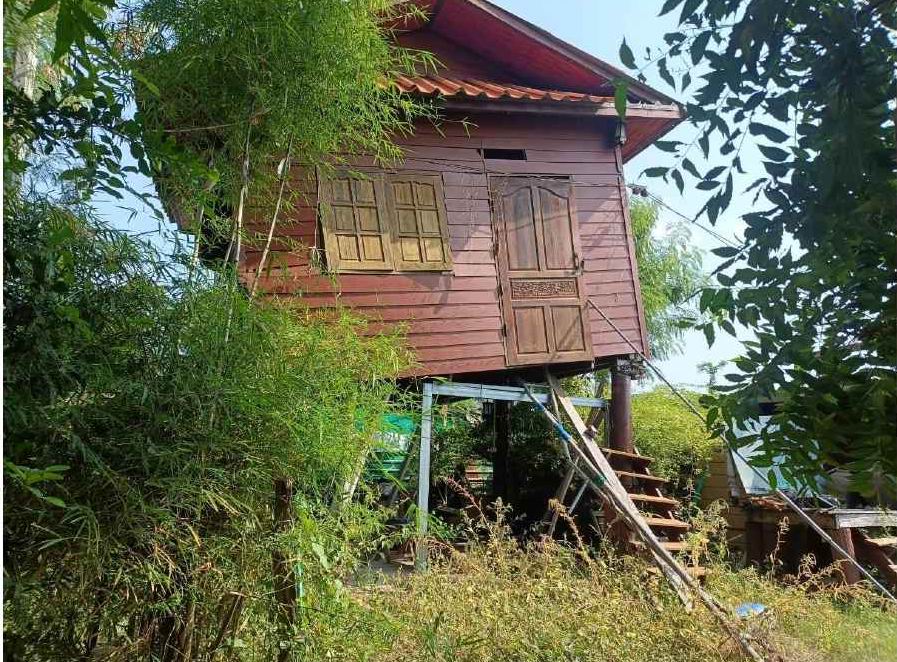 ขายทอดตลาด ที่ดินพร้อมสิ่งปลูกสร้าง ต.พันชนะ อ.ด่านขุนทด จ.นครราชสีมา