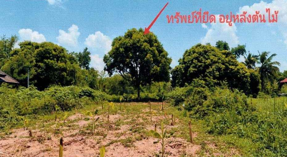 ขายทอดตลาด ที่ดินว่างเปล่า ต.มิตรภาพ อ.สีคิ้ว จ.นครราชสีมา