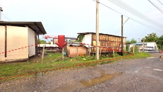 ขายทอดตลาด ที่ดินว่างเปล่า แขวงกระทุ่มราย เขตหนองจอก จ.กรุงเทพมหานคร