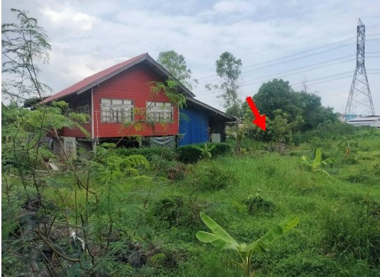 ขายทอดตลาด ที่ดินว่างเปล่า แขวงแสนแสบ เขตมีนบุรี จ.กรุงเทพมหานคร