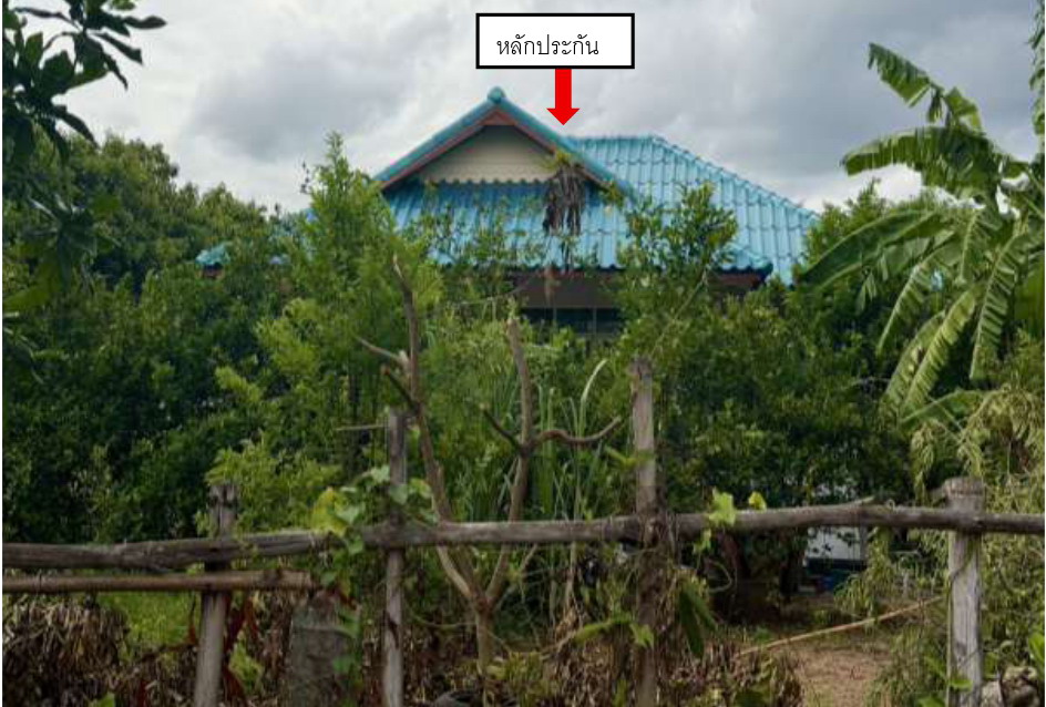 ขายทอดตลาด ที่ดินพร้อมสิ่งปลูกสร้าง ต.บ้านแปรง อ.ด่านขุนทด จ.นครราชสีมา