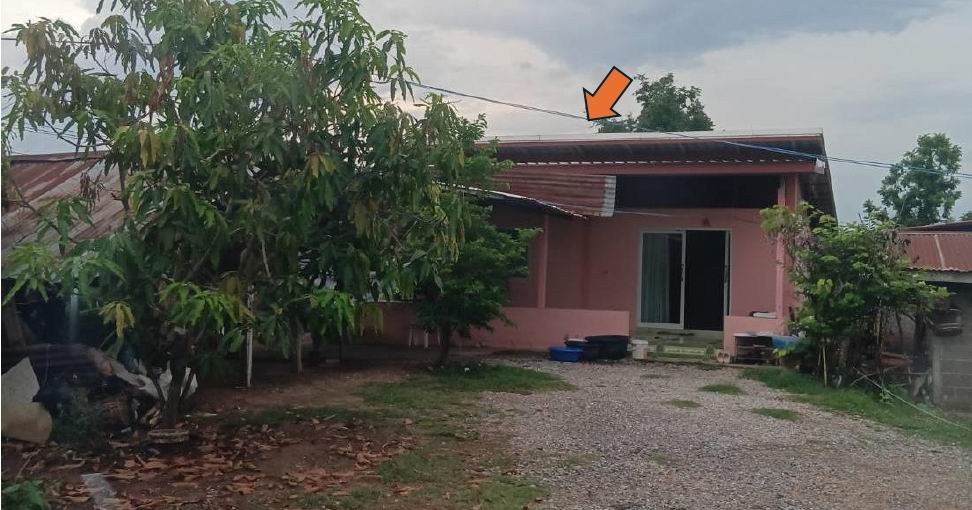 ขายทอดตลาด ที่ดินพร้อมสิ่งปลูกสร้าง ต.หนองบัวละคร อ.ด่านขุนทด จ.นครราชสีมา