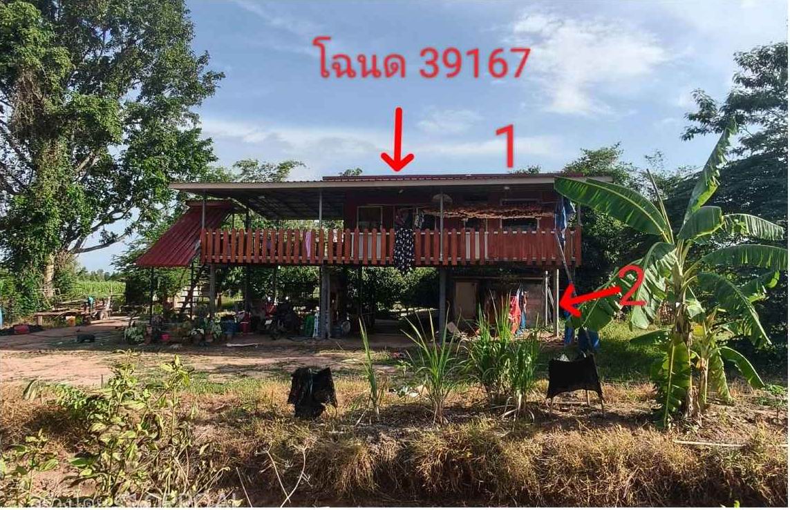 ขายทอดตลาด ที่ดินพร้อมสิ่งปลูกสร้าง ต.วังโรงใหญ่ อ.สีคิ้ว จ.นครราชสีมา