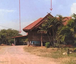 รูปทรัพย์ 2