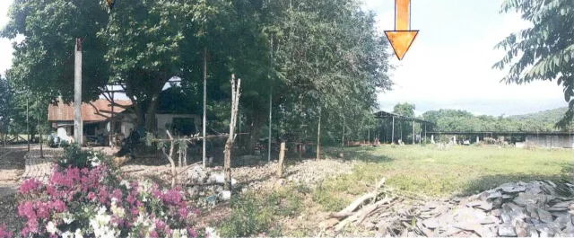 ขายทอดตลาด ที่ดินพร้อมสิ่งปลูกสร้าง ต.วังไทร อ.ปากช่อง จ.นครราชสีมา