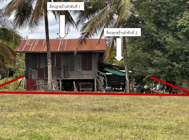 ขายทอดตลาด ที่ดินพร้อมสิ่งปลูกสร้าง ต.สระจรเข้ อ.ด่านขุนทด จ.นครราชสีมา
