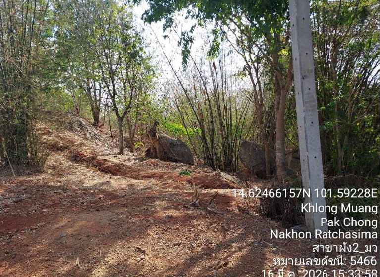 ขายทอดตลาด ที่ดินพร้อมสิ่งปลูกสร้าง ต.คลองม่วง อ.ปากช่อง จ.นครราชสีมา