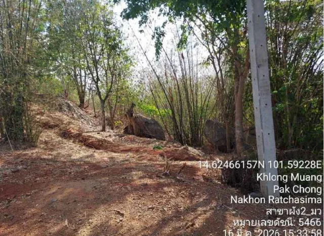 ขายทอดตลาด ที่ดินพร้อมสิ่งปลูกสร้าง ต.คลองม่วง อ.ปากช่อง จ.นครราชสีมา