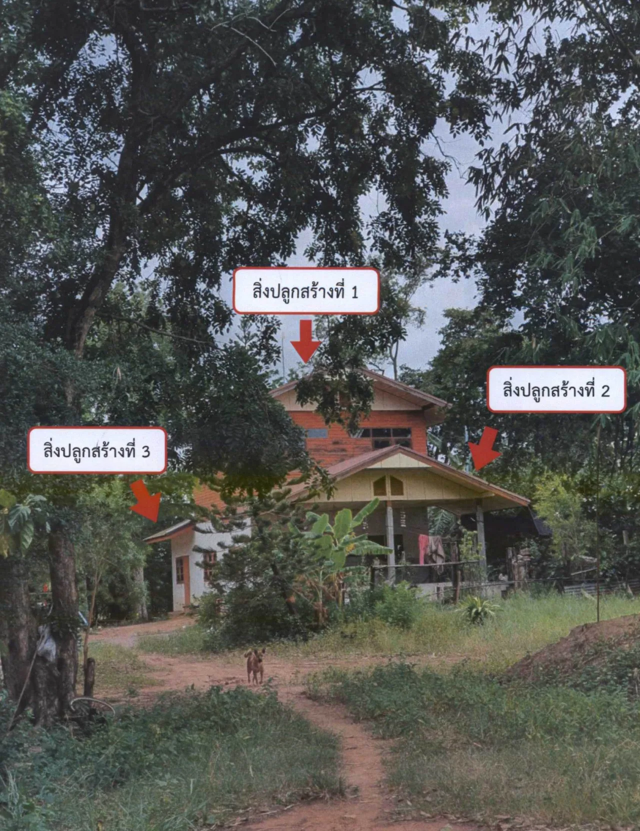 ขายทอดตลาด ที่ดินพร้อมสิ่งปลูกสร้าง ต.หนองตะไก้ อ.สูงเนิน จ.นครราชสีมา
