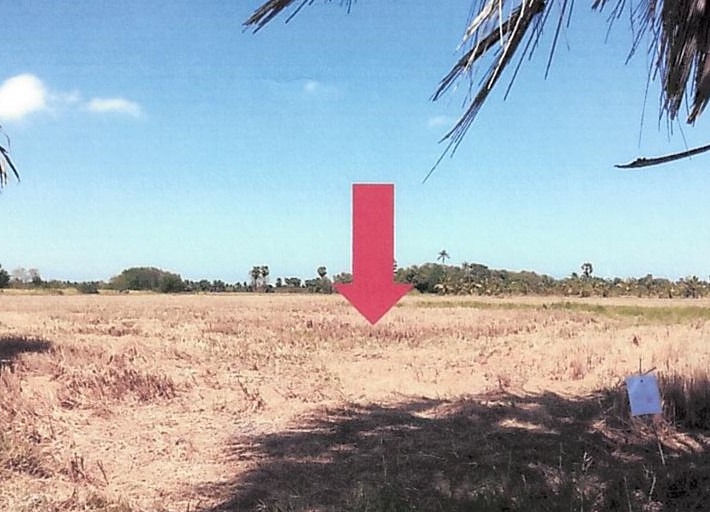 ขายทอดตลาด ที่ดินว่างเปล่า ต.ปากแพรก อ.ปากพนัง จ.นครศรีธรรมราช