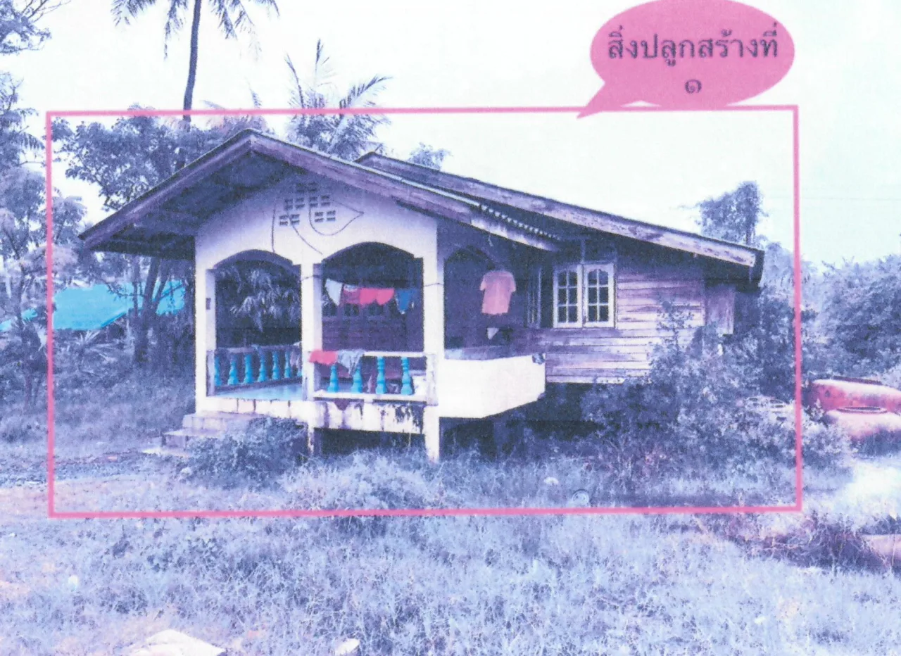 ขายทอดตลาด ที่ดินพร้อมสิ่งปลูกสร้าง ต.ปากพนังฝั่งตะวันออก อ.ปากพนัง จ.นครศรีธรรมราช
