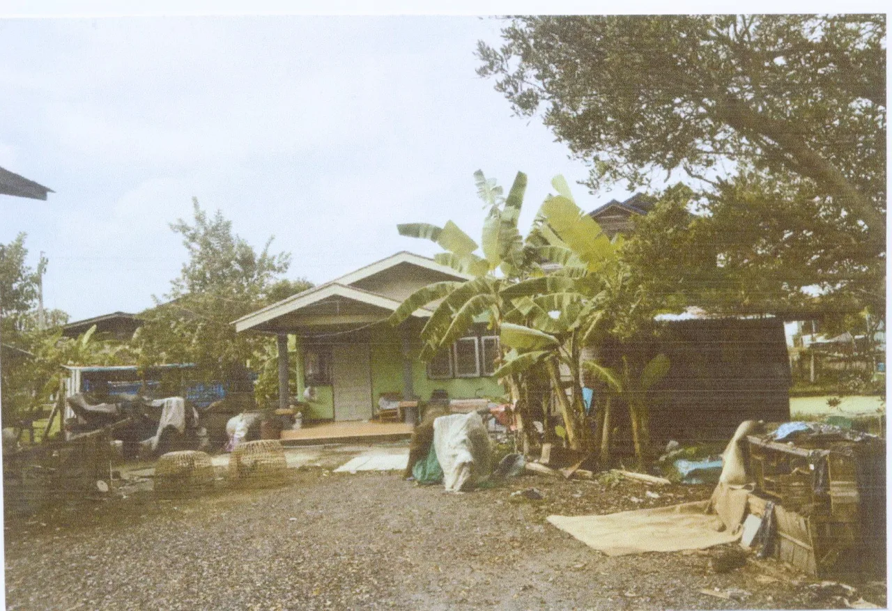 ขายทอดตลาด ที่ดินพร้อมสิ่งปลูกสร้าง แขวงแสนแสบ เขตมีนบุรี จ.กรุงเทพมหานคร