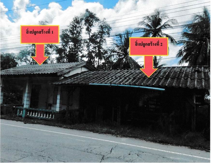 ขายทอดตลาด ที่ดินพร้อมสิ่งปลูกสร้าง ต.แหลม อ.หัวไทร จ.นครศรีธรรมราช