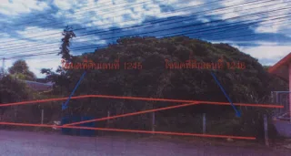 รูปทรัพย์ 2